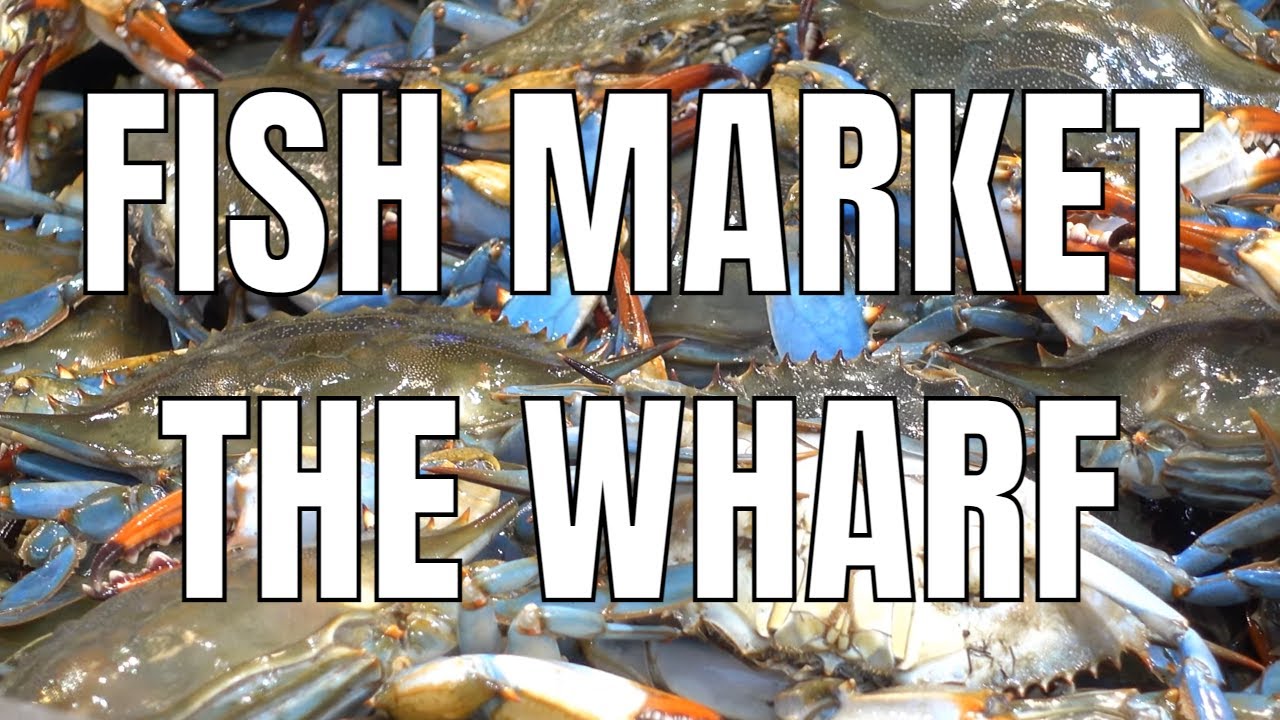 4K Fish Market (The Wharf, Washington DC)