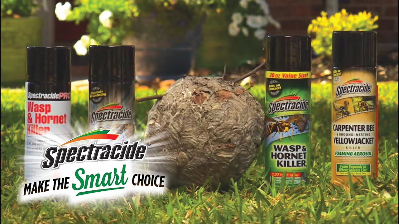 Spectracide&reg; Solutions | Wasp, Hornet & Yellow Jacket Killer