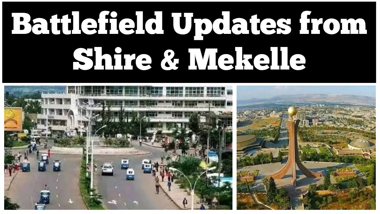Battlefield Updates from Shire & Mekelle
