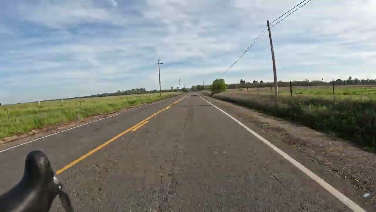 Last ride to Graffiti Bridge