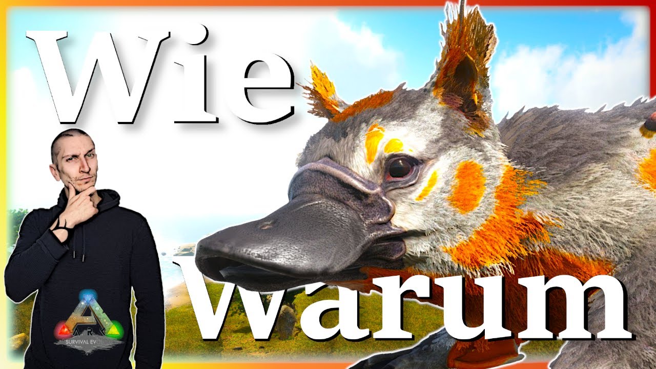 ARK Taming Guide | Maewing zähmen & seine Fähigkeiten mit Humor