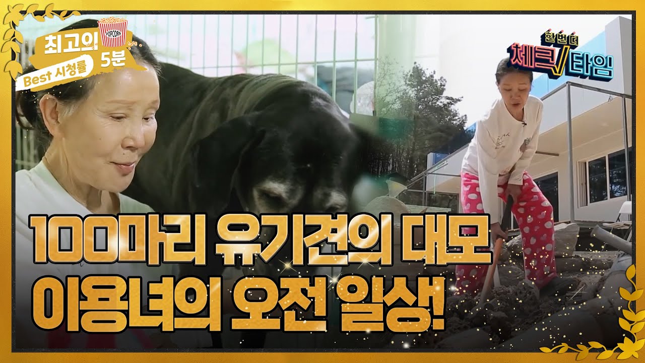 [최고의 5분_체크타임] 100마리 유기견의 대모, 배우 이용녀의 하루는?! MBN 220530 방송