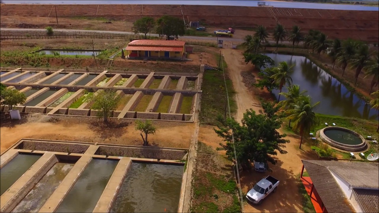VOO PANOR&Acirc;MICO ESTA&Ccedil;&Atilde;O DE PISCICULTURA OCEANO ATL&Acirc;NTICO LINHARES (DNOCS) ITI&Uacute;BA-BAHIA