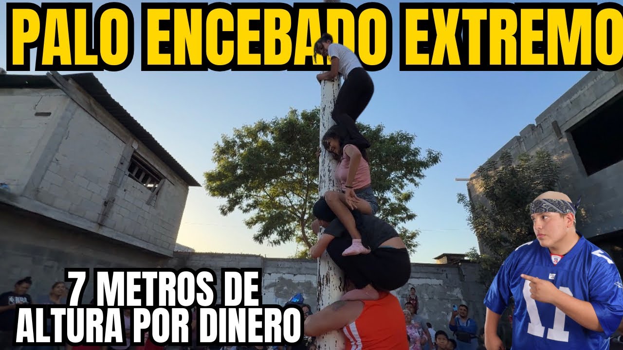PALO ENCEBADO DE 7 METROS DE ALTURA ¿QUIEN PUEDE BAJAR EL DINERO?