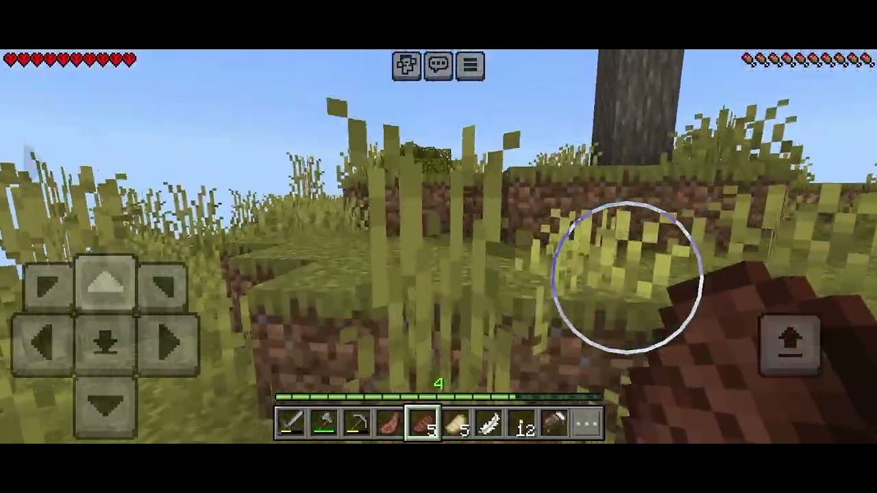 Lo intente 😭.que dicen ago otro mundo de minecraft pero sin harcor?