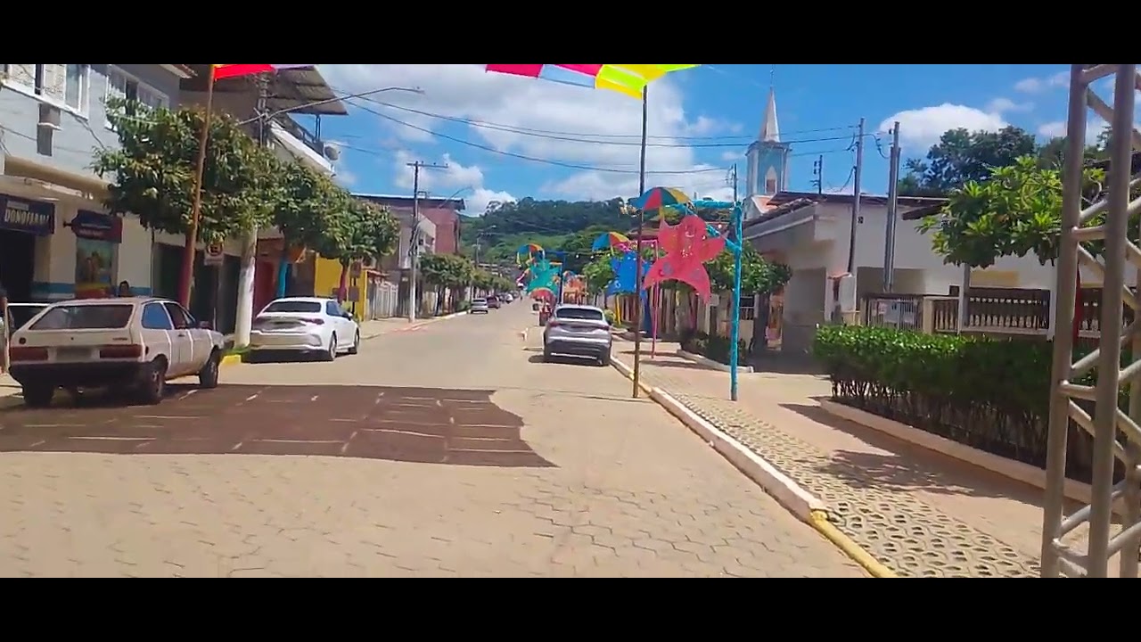 Maravilha da terra plantas no carnaval de dona Eusébia minas gerais 2026