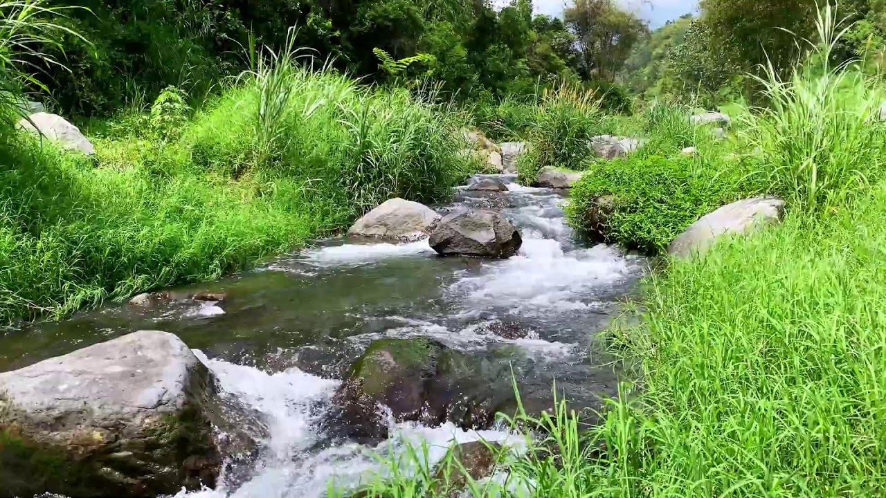 Tranquil River Flow – 10 Hours of Water ASMR  - Stress, Anxiety Relief & Meditation Sounds