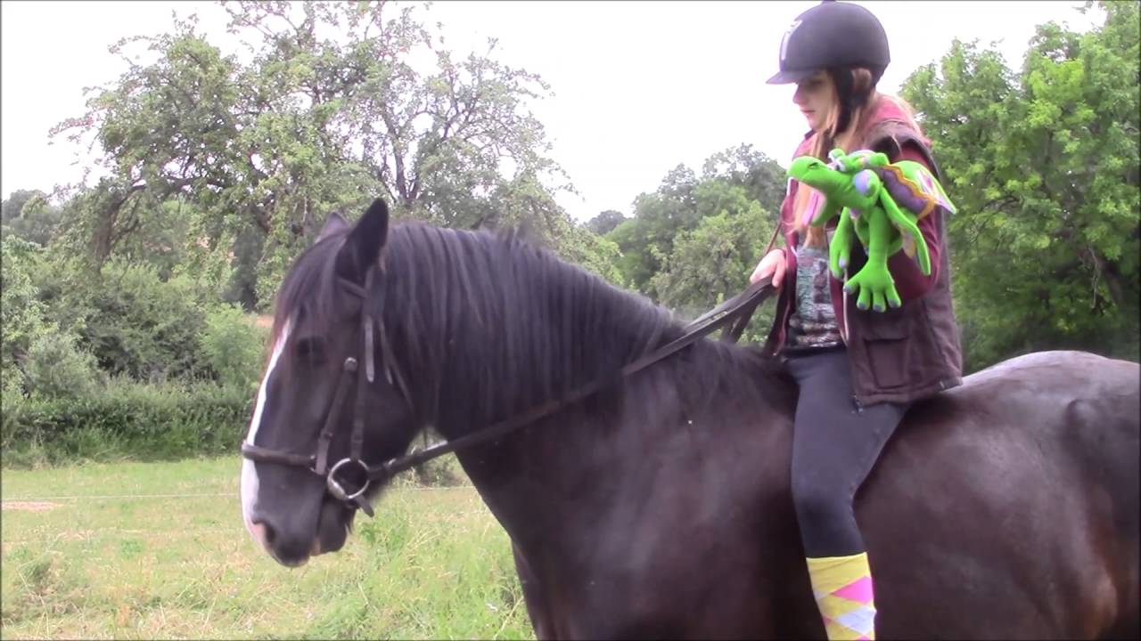 ELIOTT À CHEVAL