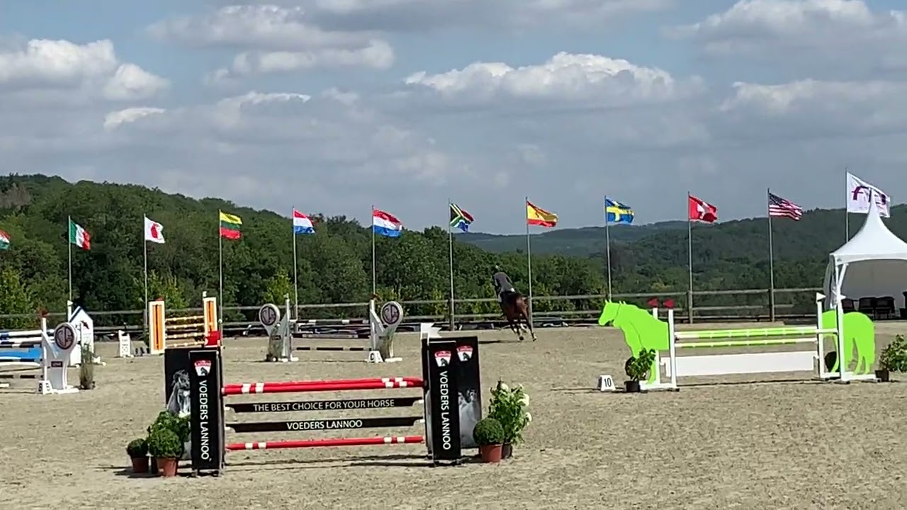 Novak vd Meyhoeve/VdbStables sj Arville 2022 3*S