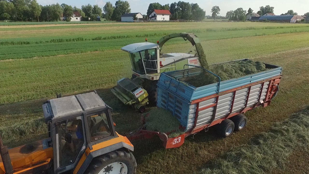 🔥 Zbiór traw 2021  GR WYZIŃSCY☘️