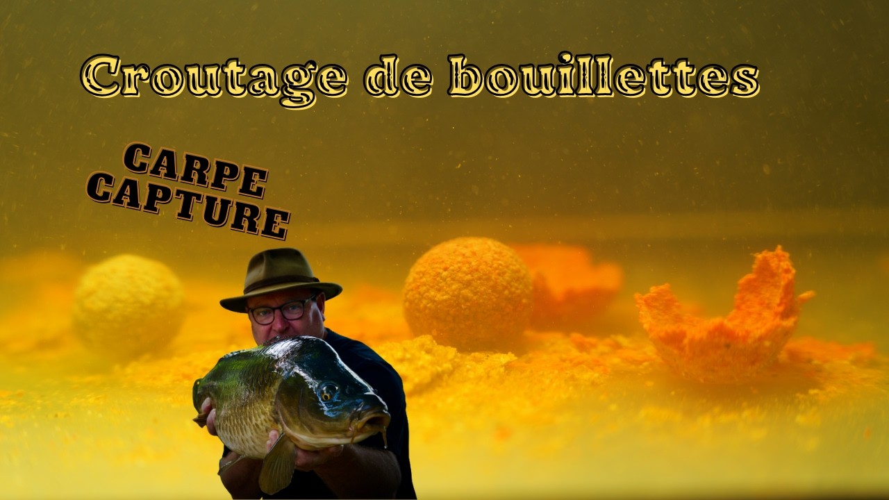Croutage de bouillettes #solognebaits #fishing #carpe #lcatackle #shorts #abonnetoi #croutage