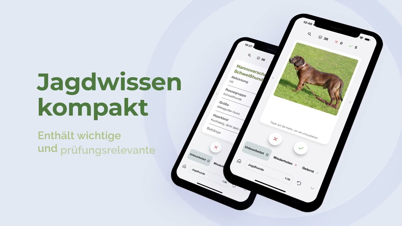 Heintges Lernkarten-App - Sicher durch die Jägerprüfung