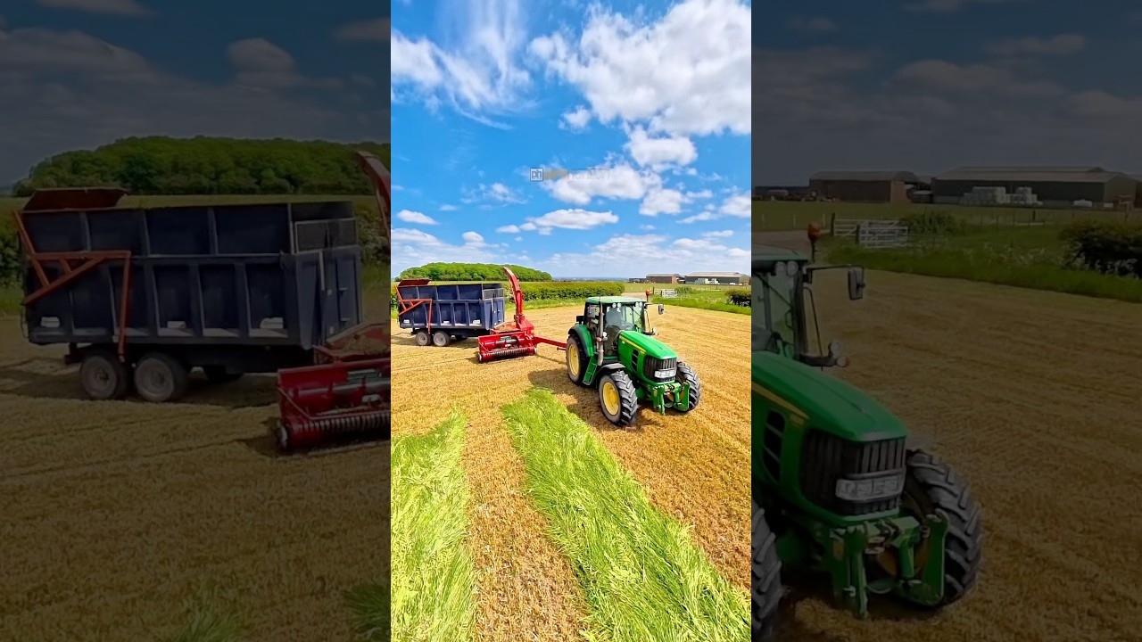John Deere Tractor with Forage Harvester and Trailer #silage