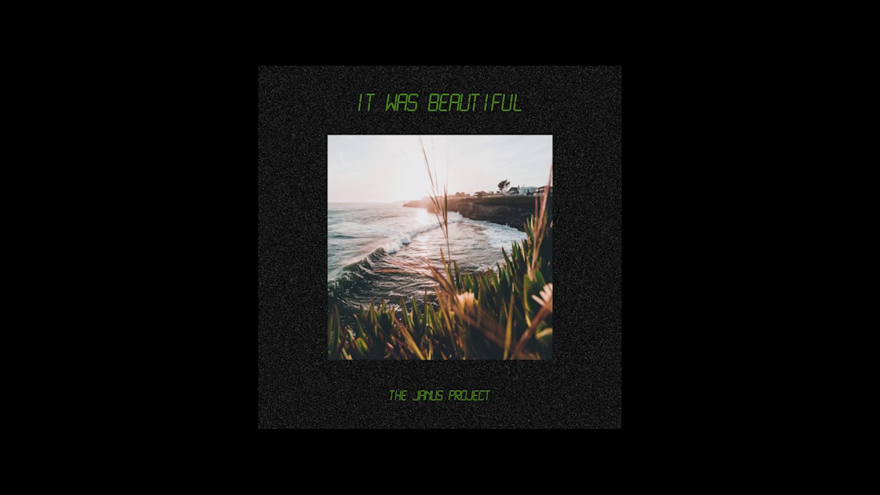 It Was Beautiful - The Janus Project