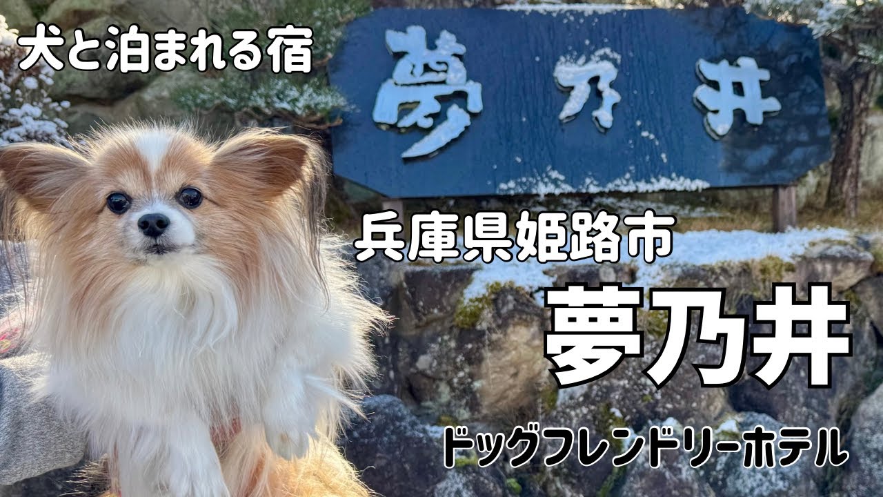 【犬と泊まれる宿】夢乃井・姫路・兵庫県
