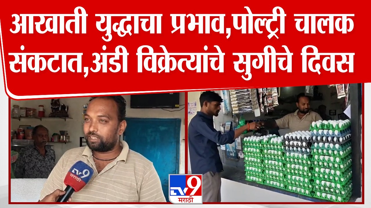 Bhandra | आखाती युद्धाचा प्रभाव,पोल्ट्री चालक संकटात, अंडी विक्रेत्यांचे सुगीचे दिवस