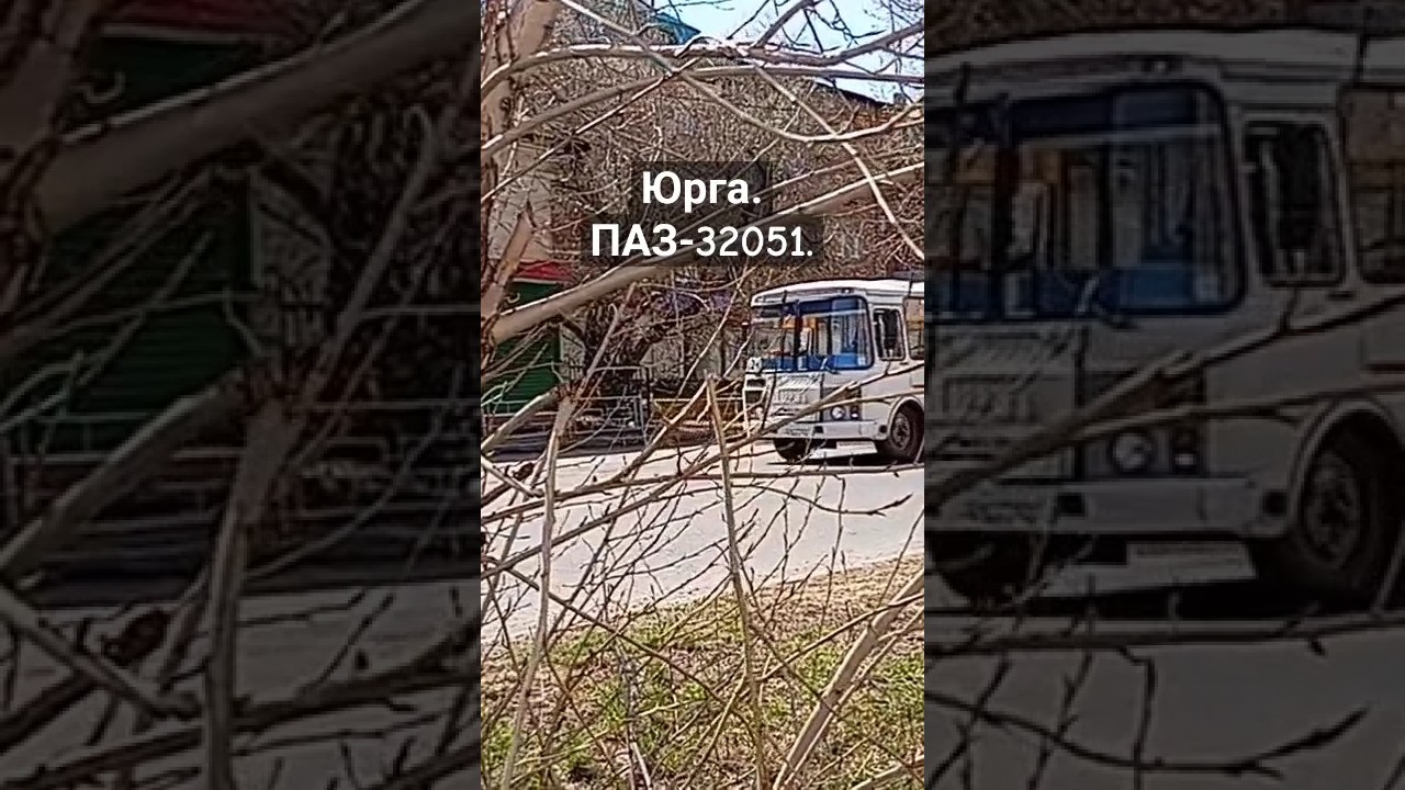 Юрга. ПАЗ-32051. Ул. Кирова #автобусы #кузбасс #транспорт #юрга