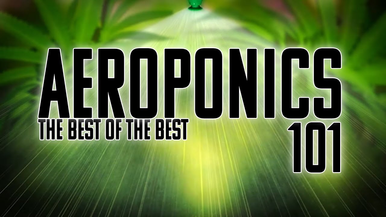 AEROPONICS 101  THE EPITOME OF GARDENING   THE BEST WAY TO GROW HPA LPA FOGPONICS HYBRID HYDROPONICS
