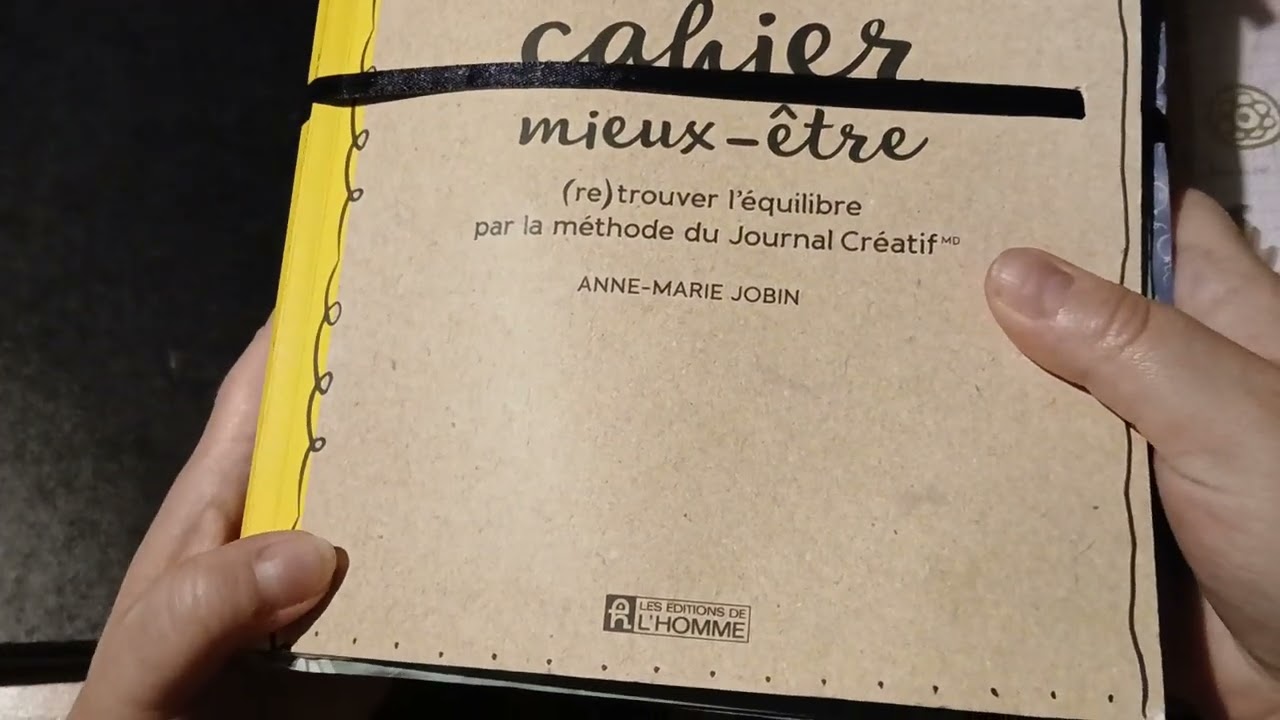 MES DIFFERENTS JOURNAUX ( 2017-2025)