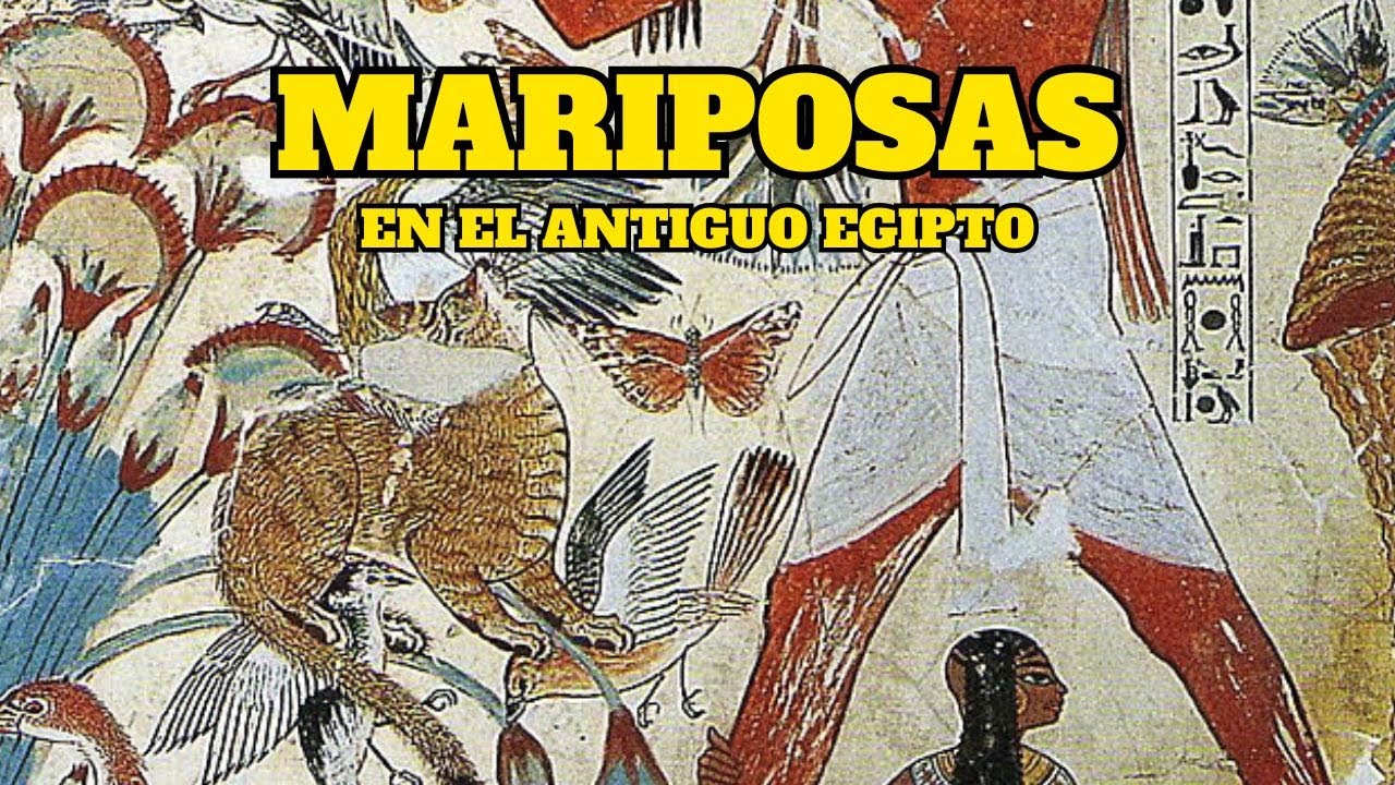 ✨ Descubre el fascinante papel de las mariposas en el Antiguo Egipto ✨