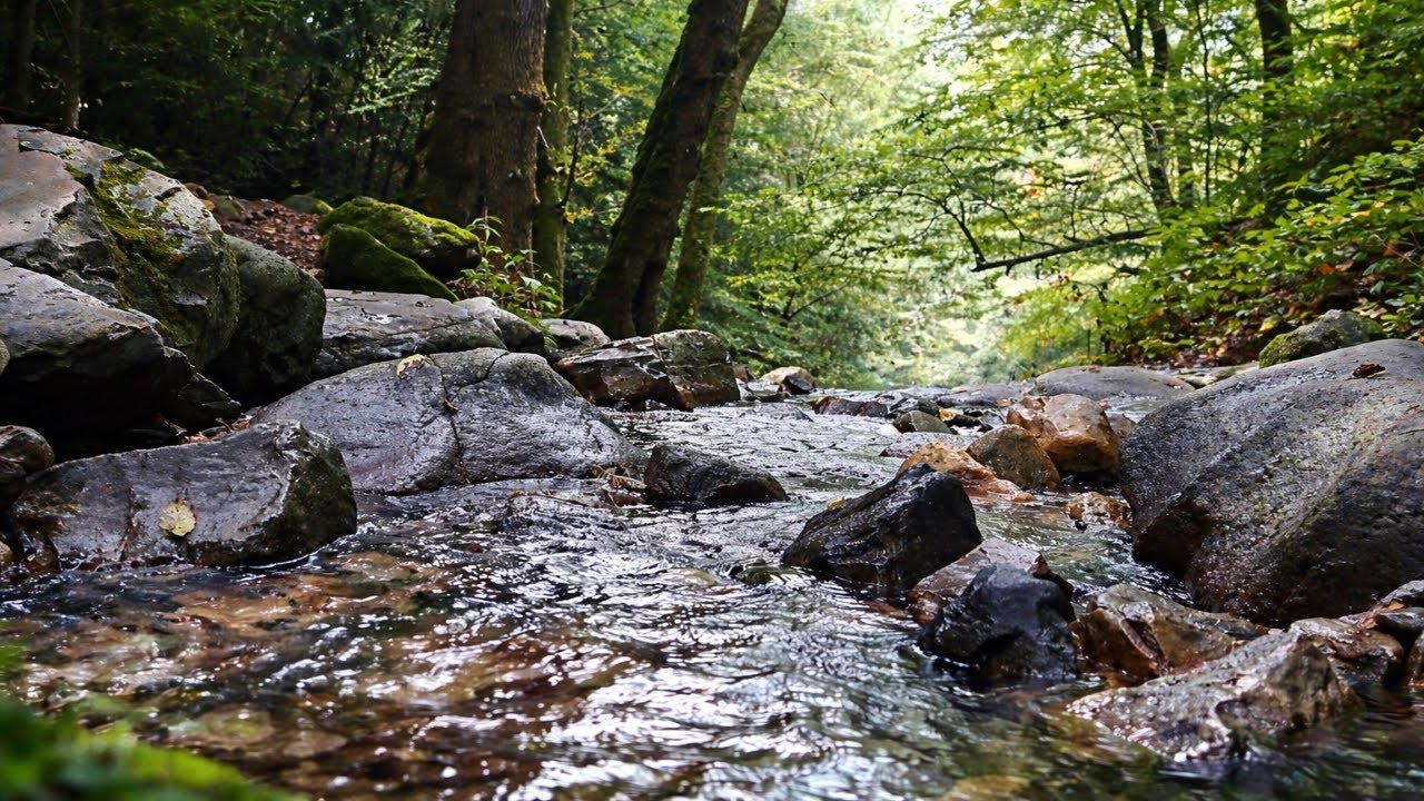 🌊🌿Gentle River Flow Through Jungle Rocks | Relaxing Nature Sounds for Sleep, Study & Meditation 🧘