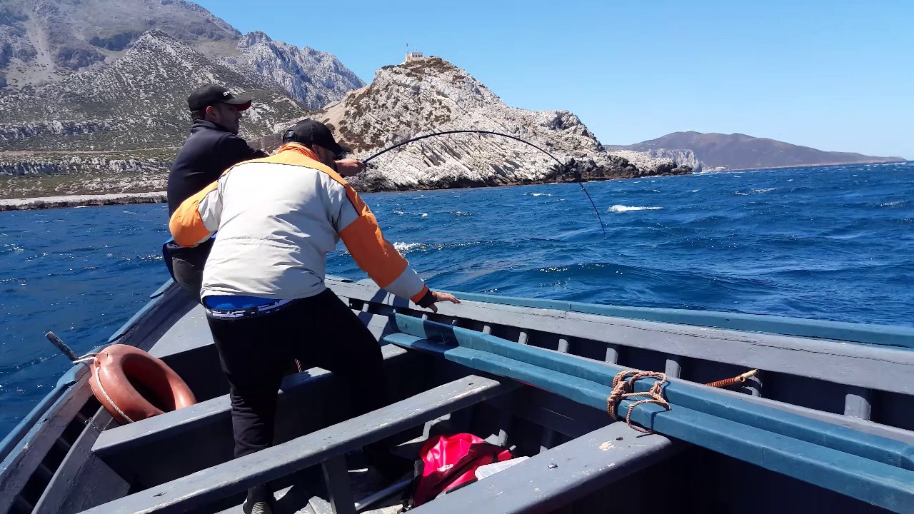 JOLI COMBA PECHE DU THON ROUGE AU MAROC   VIDEO 2