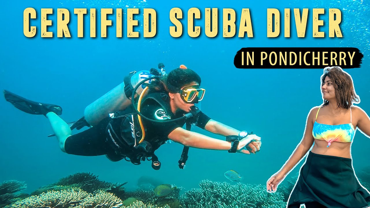 PADI Open Water Scuba Diving Course in PONDICHERRY  🤿 Scuba Diving Experience in India