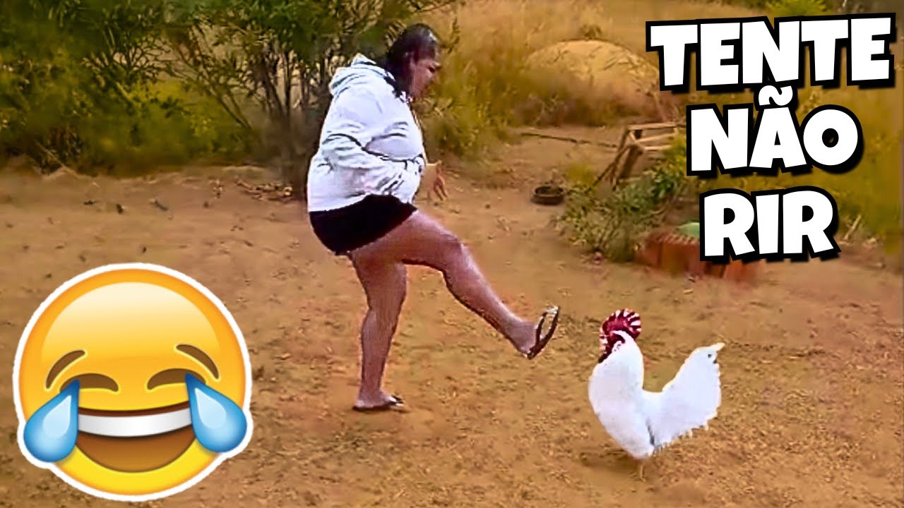 TENTE N&Atilde;O RIR: V&Iacute;DEOS ENGRA&Ccedil;ADOS 2025 E MEMES - #87