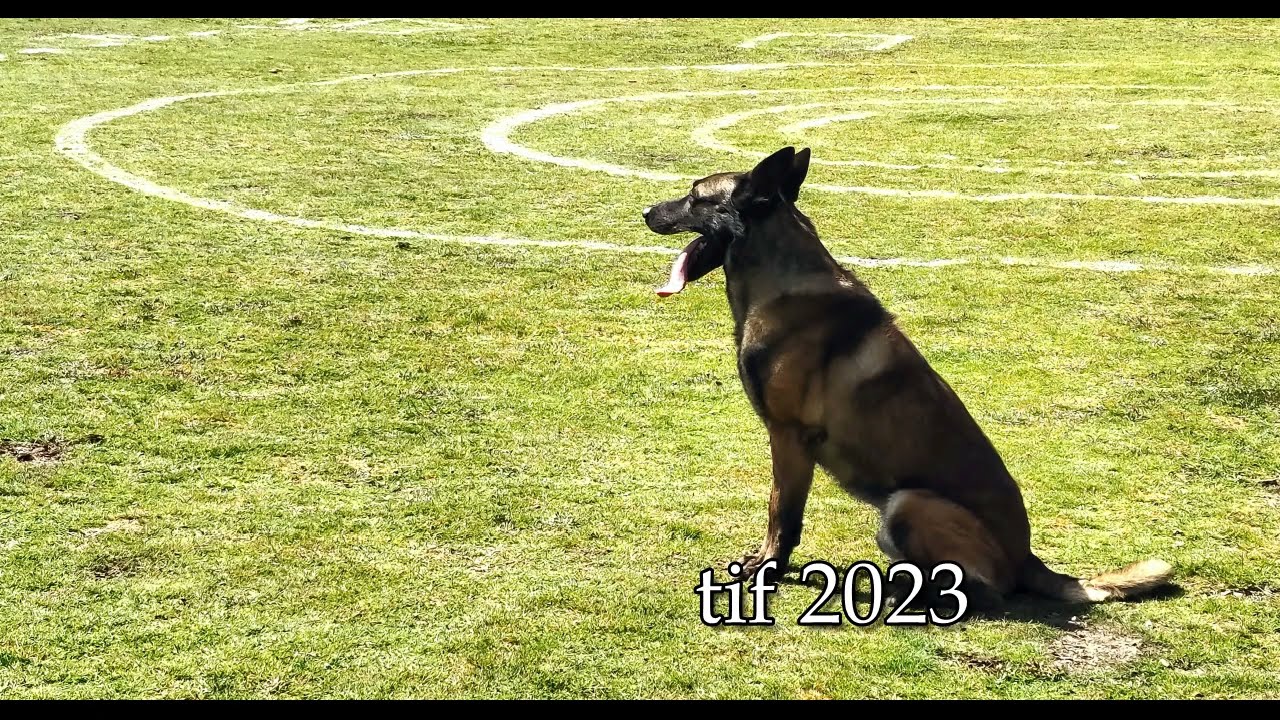 Nash de la Croisee des Loups 2 eme selectif 2023