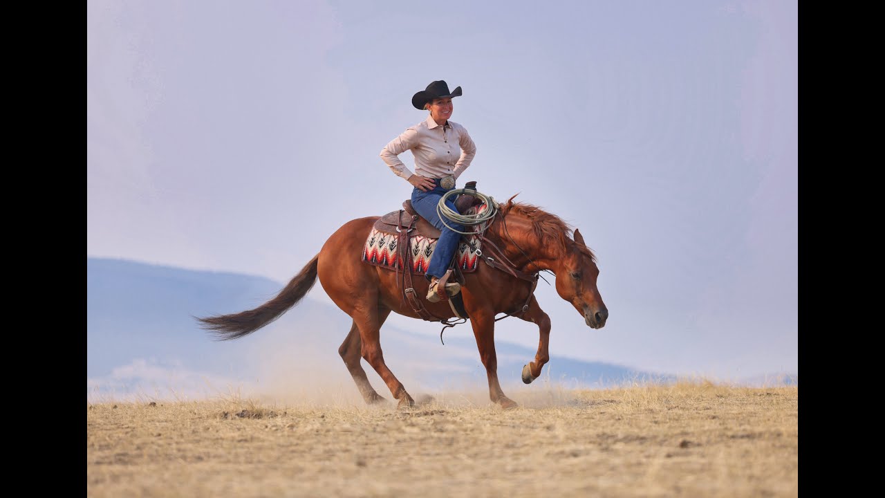 Lot 34 CASPER OF TURNER PERFORMANCE HORSES offered  at  @PremierHorseSales  Diamonds in the Desert!