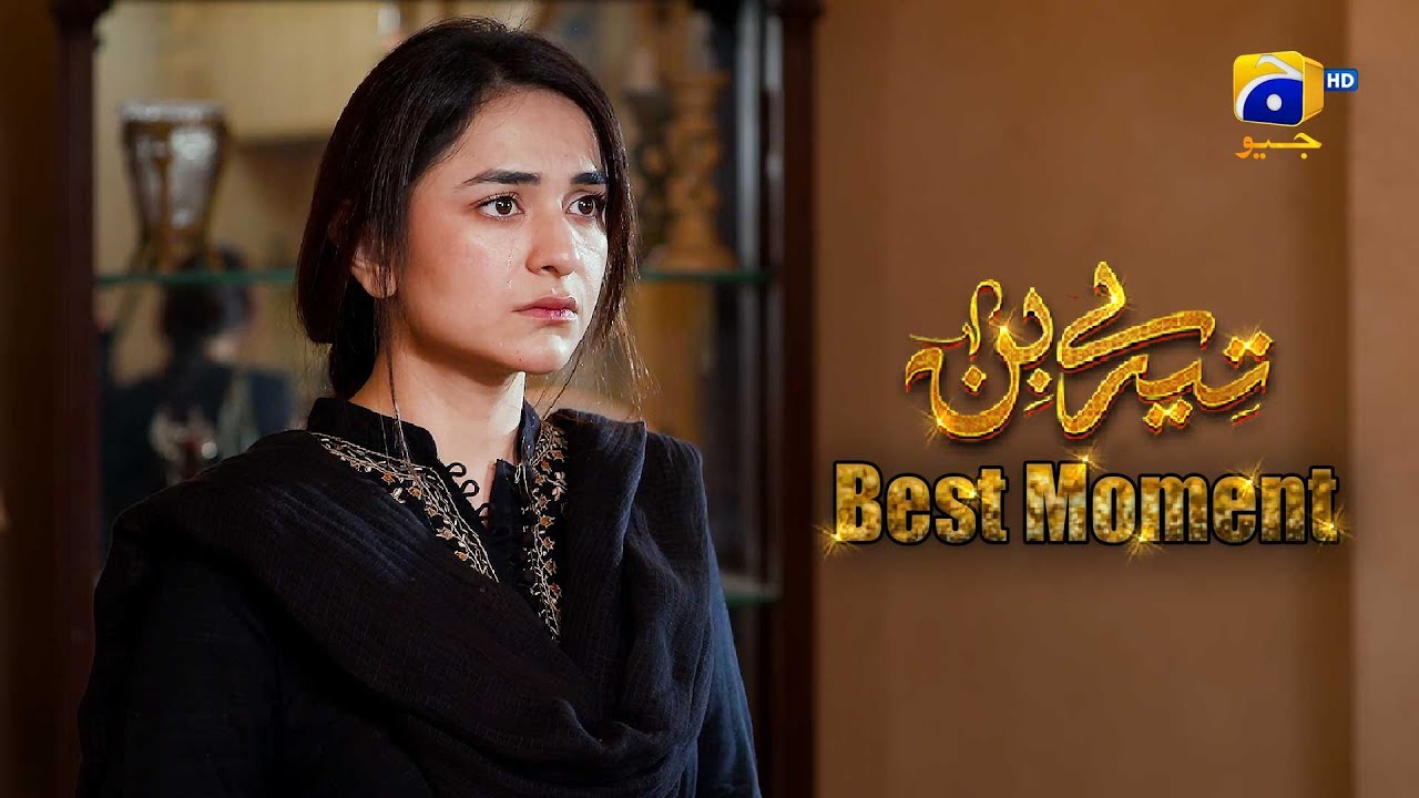 Tere Bin Last Episode || Yumna Zaidi - Wahaj Ali || 𝗕𝗲𝘀𝘁 𝗠𝗼𝗺𝗲𝗻𝘁 𝟬𝟰 || Har Pal Geo