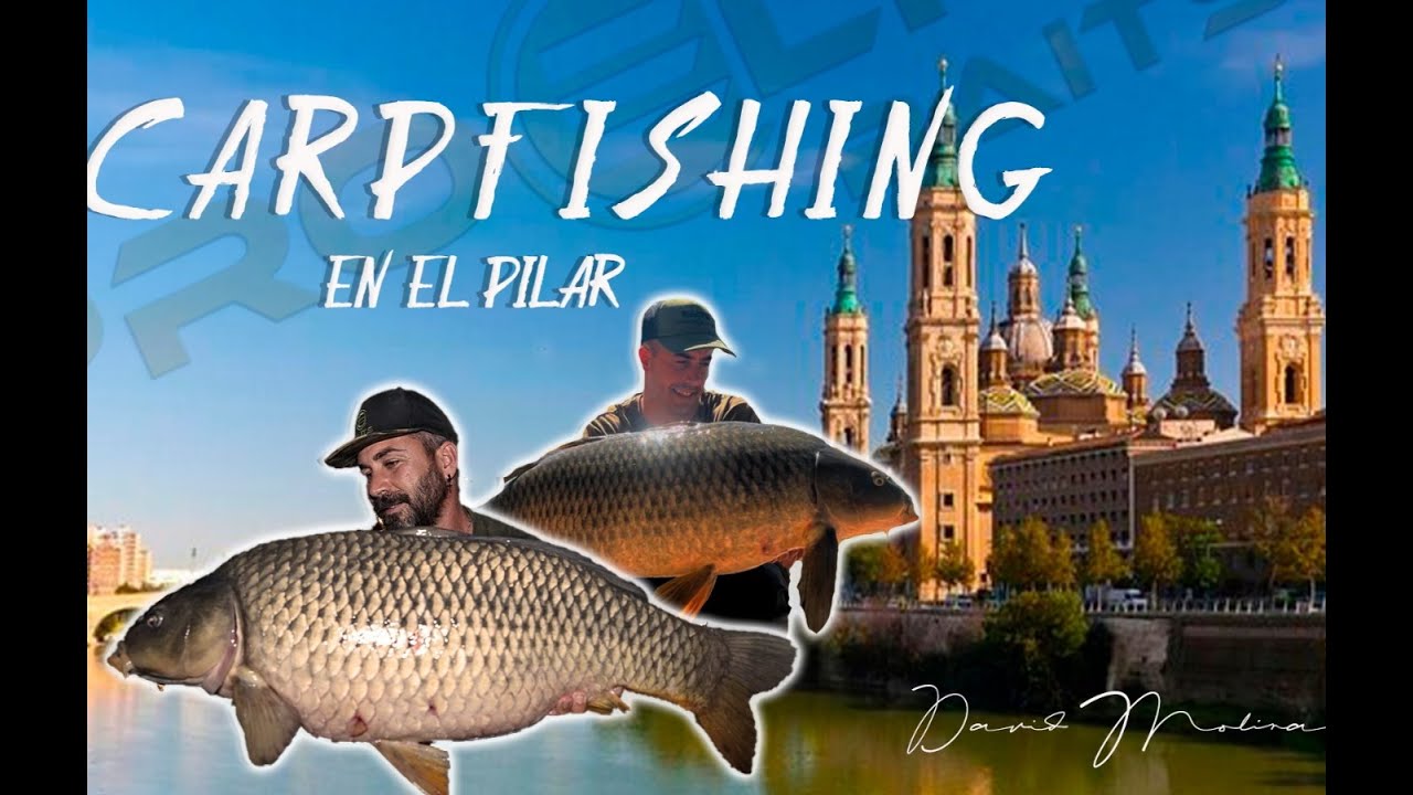 CARPFISHING  EL PILAR