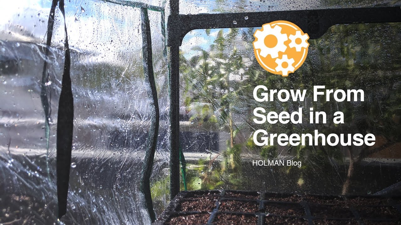 How To Set Up a Holman Misting Greenhouse and Grow from Seed