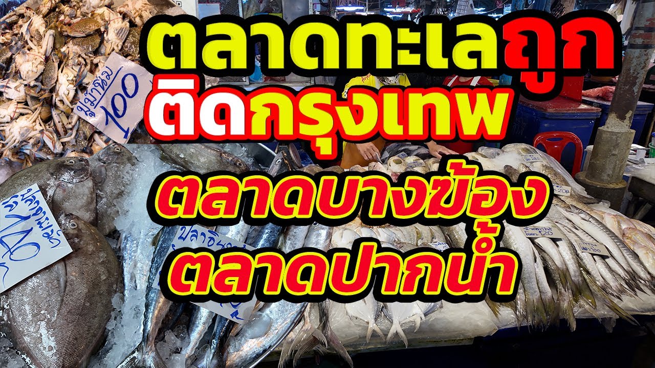 ตลาดอาหารทะเลติดกรุงเทพ ตลาดบางฆ้อง vs ตลาดปากน้ำ ไม่มีรถก็ไปได้ @finadii