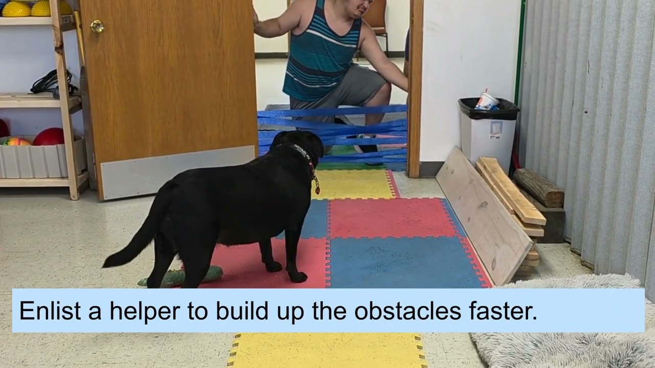 Play Learn Connect Challenge 2: Doorway Dash