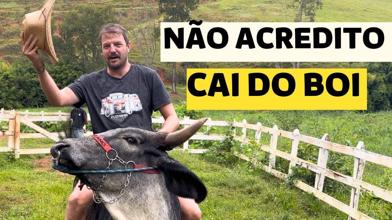 NASCEU UM PONEI NO SÍTIO DO GUTO