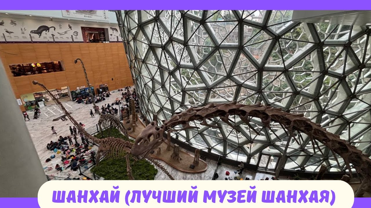 Шанхай / Самый впечатляющий музей Шанхая — натуральная история за 5 минут.