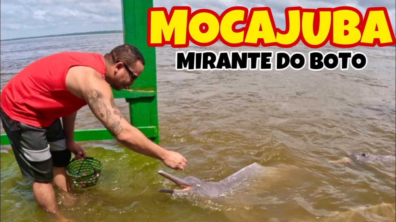 A Cidade de Mocajuba e o Mirante do Boto