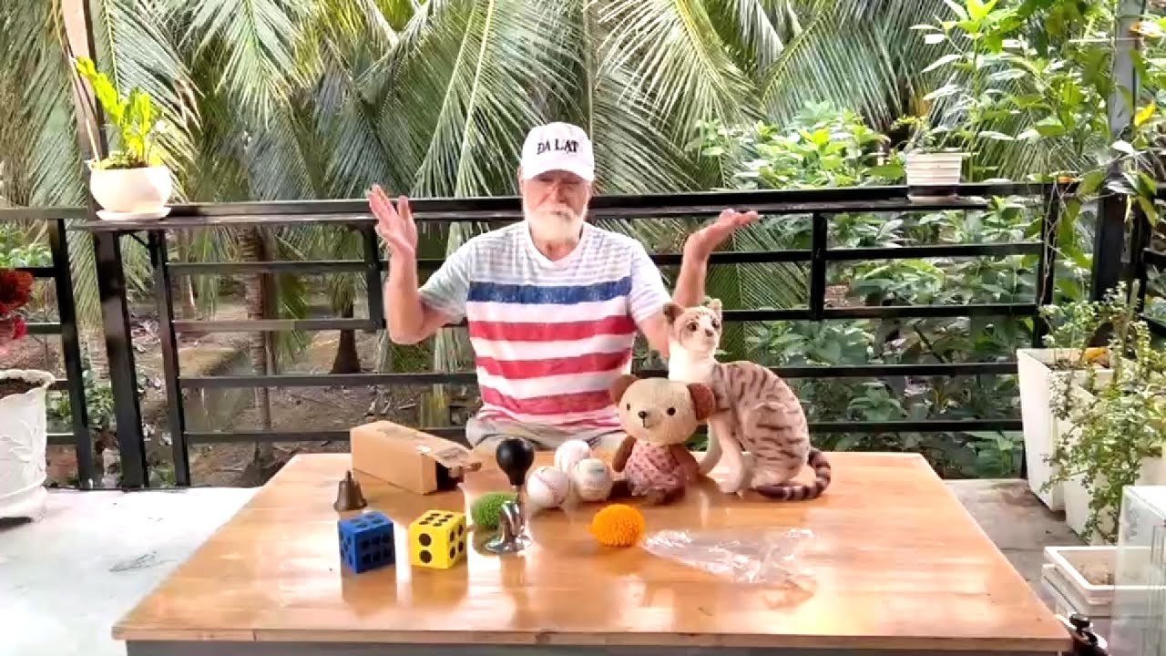 Looking for CAT LOVERS!  I need help.  What should I name my favorite cat here in Vietnam.?