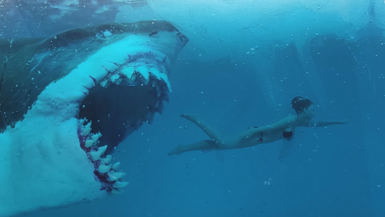 바닷속에서 여인을 공격하는 상어 디오라마 (Shark attacking a woman in the sea Diorama)
