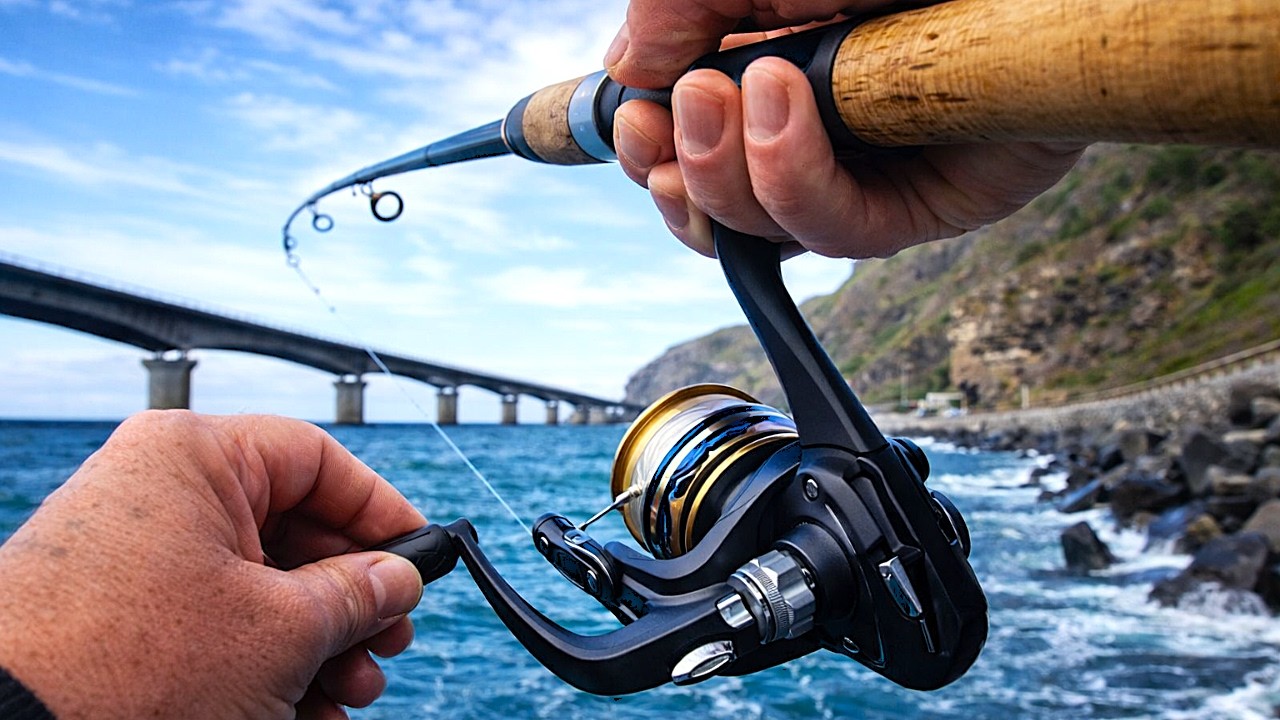 Pêche En Bord de Mer Mulet Au BULDO la Cal 974