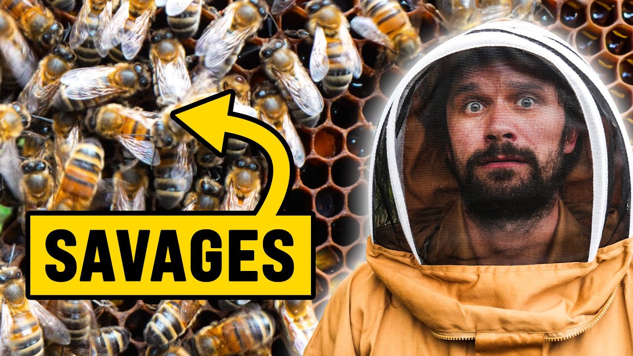We Became Beekeepers For The Day