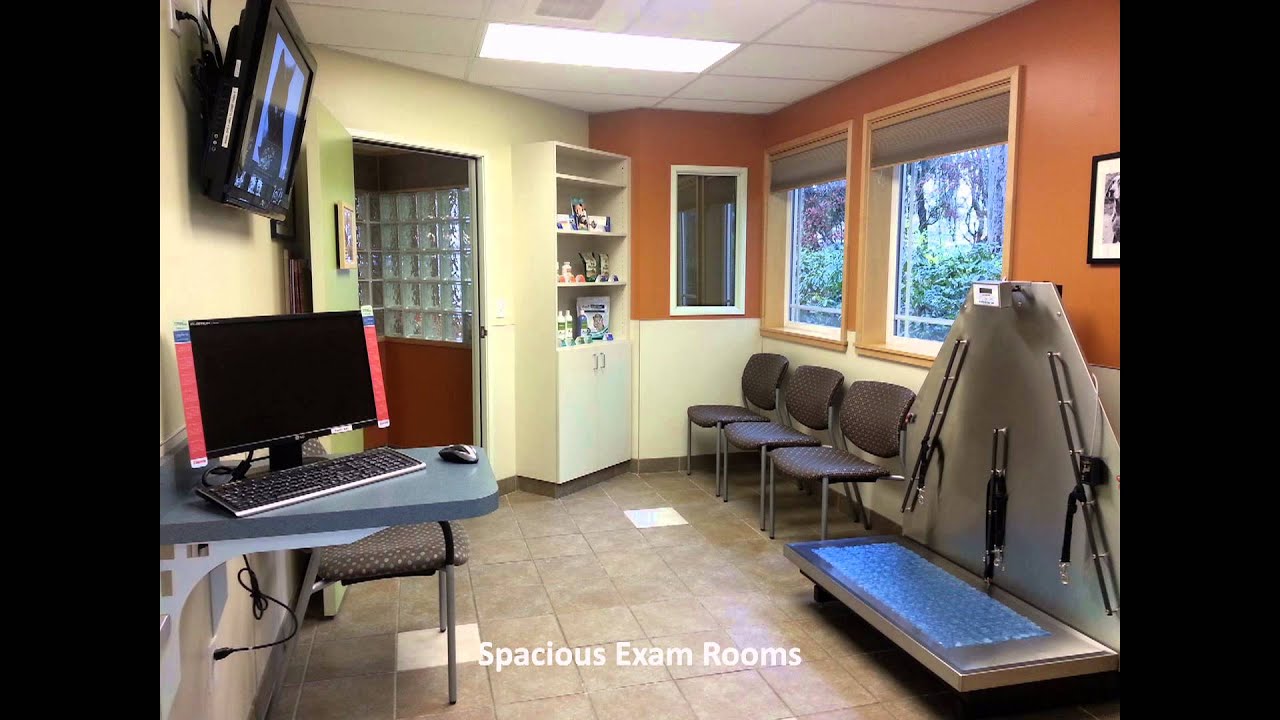 Veterinarian in Hillsboro Oregon, a Video Tour of Frontier Veterinary Hospital