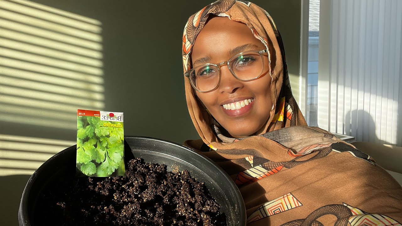 Kabsar Caleen aan Beertay 🌿 🤩 #Somali