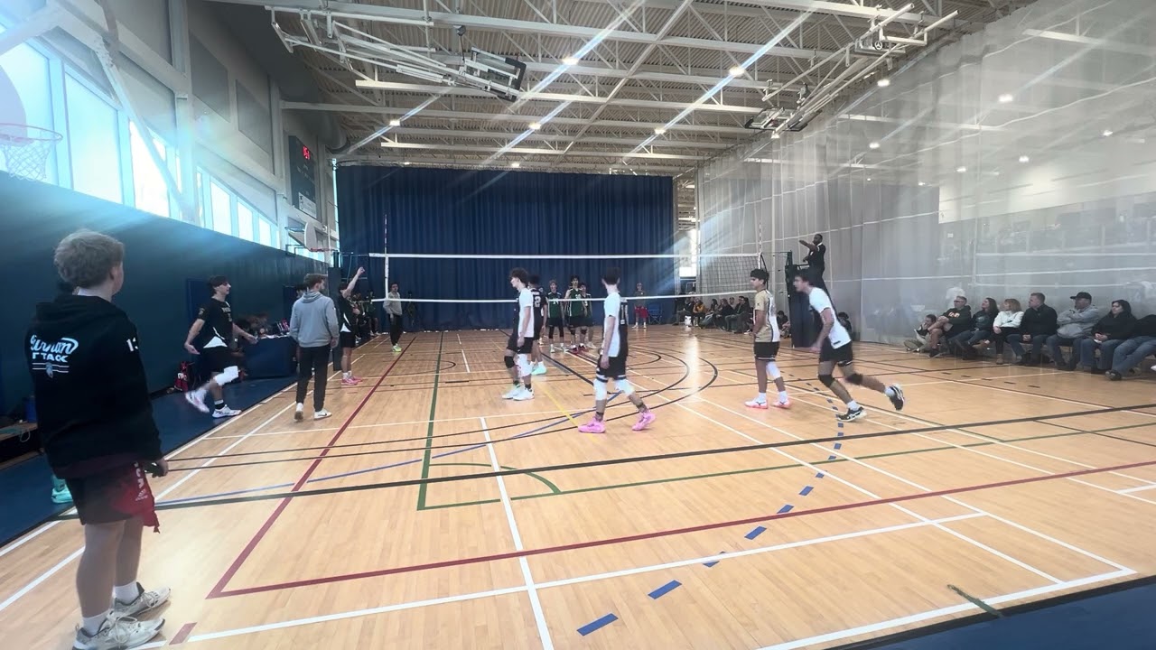 CJDM Cambridge Scorpions Set 1