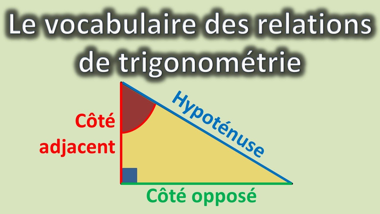 Trigonométrie : vocabulaire dans le triangle rectangle