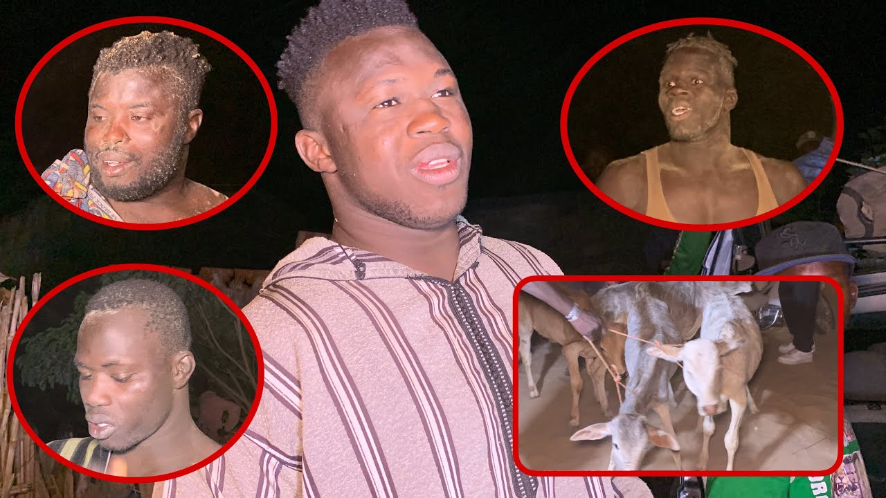 Partage des bœufs Lamb Diofior : BROSSE EL BANDIT, CHEIKH TIDIANE, NGAGNE SÉNE, AMETH DOUBLE MOTEUR