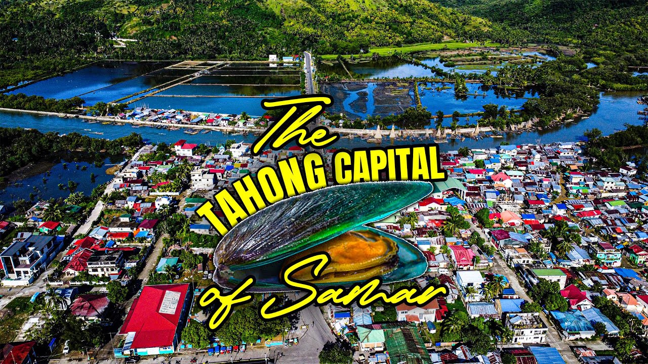 Beyond The Tahong Industry of Jiabong Samar