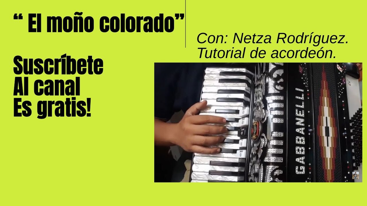 El moño colorado - Acordeon de teclas - Netza Rodríguez.