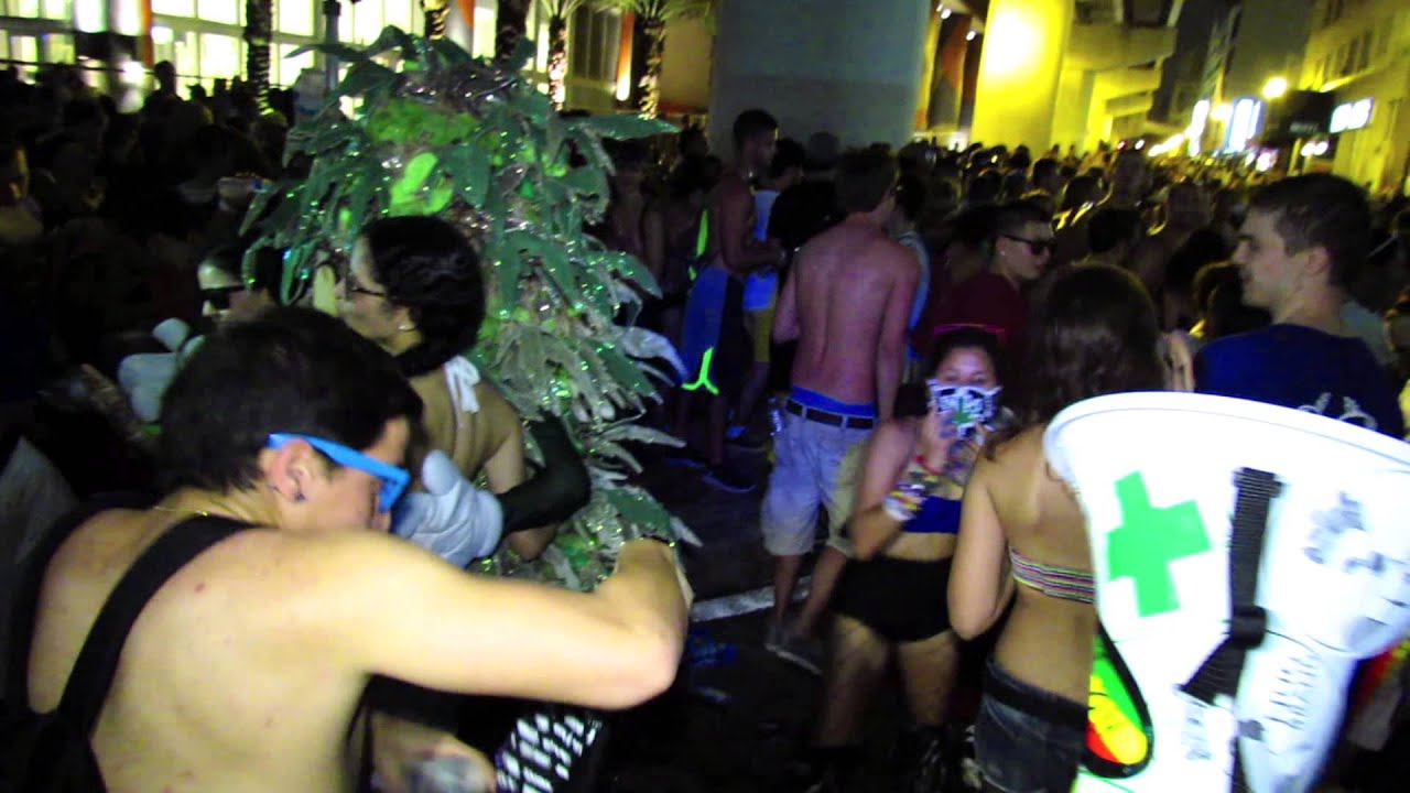 Giant weed plant found at Ultra Music Festival 2013